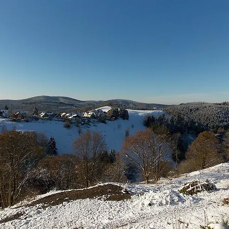 Lina's - Zwei Moderne Fewos Mit Sauna Im Haus Und Fantastischem Ausblick Lejlighed Sankt Andreasberg