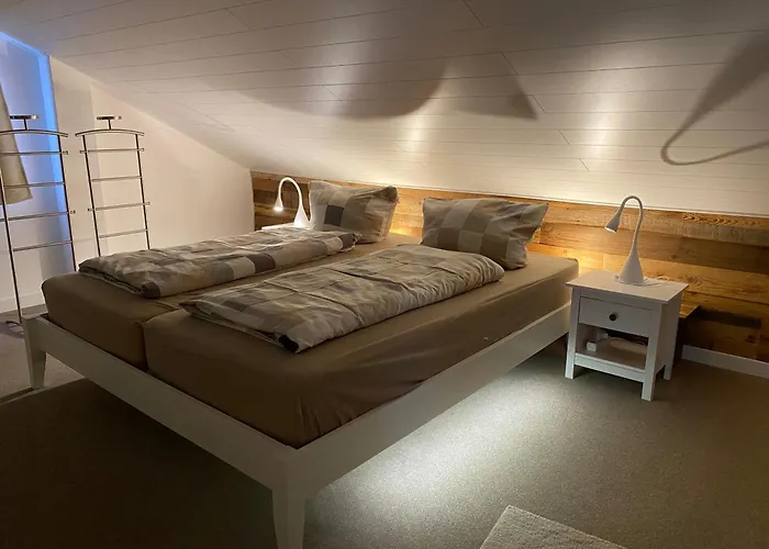 Lina's - Zwei Moderne Fewos Mit Sauna Im Haus Und Fantastischem Ausblick Lejlighed Sankt Andreasberg