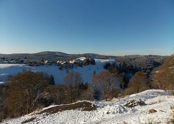 Lina's - Zwei Moderne Fewos Mit Sauna Im Haus Und Fantastischem Ausblick Lejlighed Sankt Andreasberg